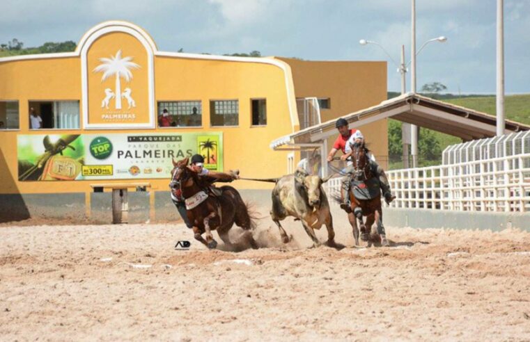 Bets mudam vaquejadas no Nordeste e transformam vaqueiros em influencers de jogos de azar