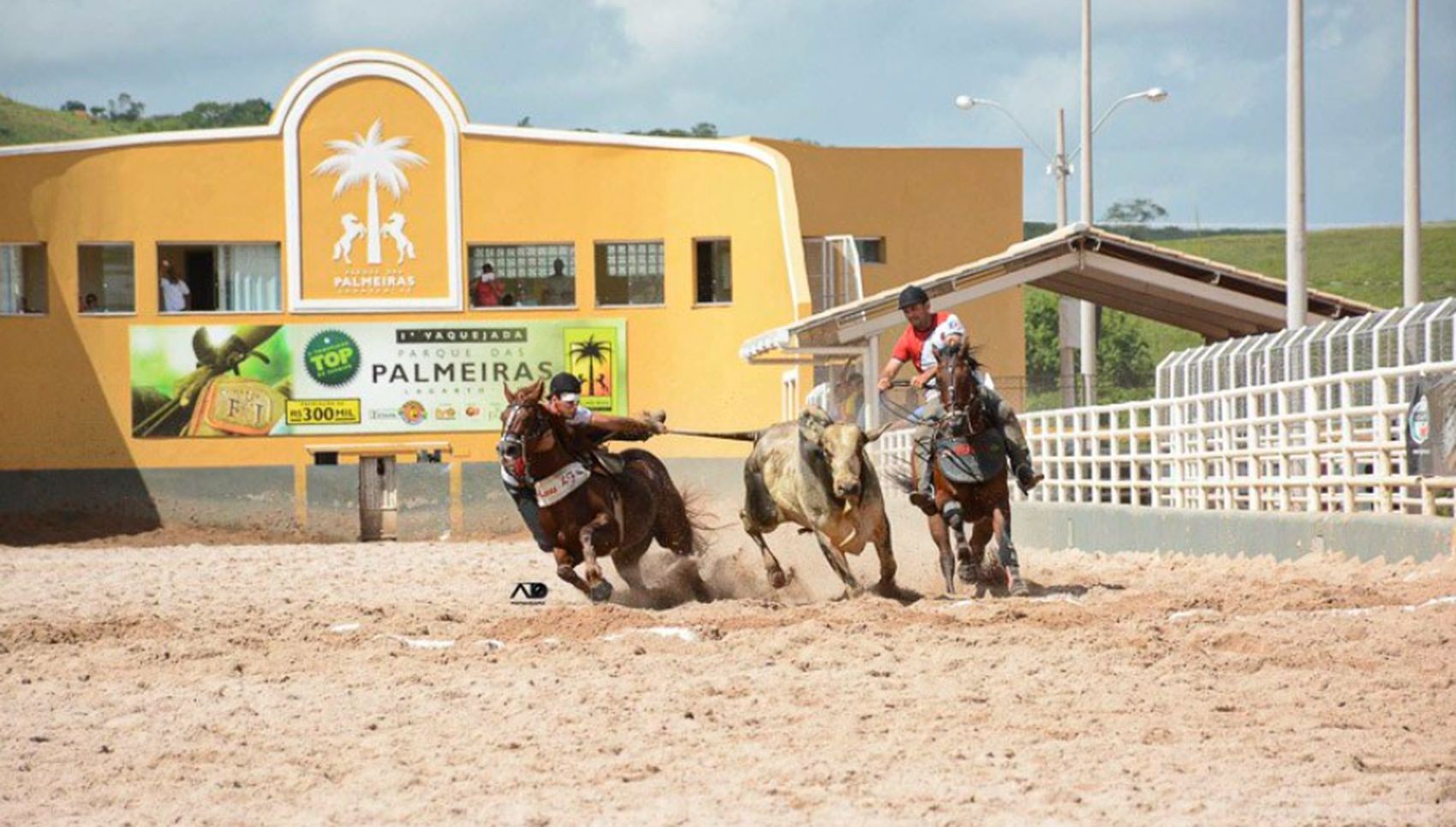 Bets mudam vaquejadas no Nordeste e transformam vaqueiros em influencers de jogos de azar