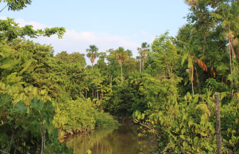 COP30, Brics e acordo Mercosul-União Europeia adiado: relembre destaques do ano da diplomacia do Brasil