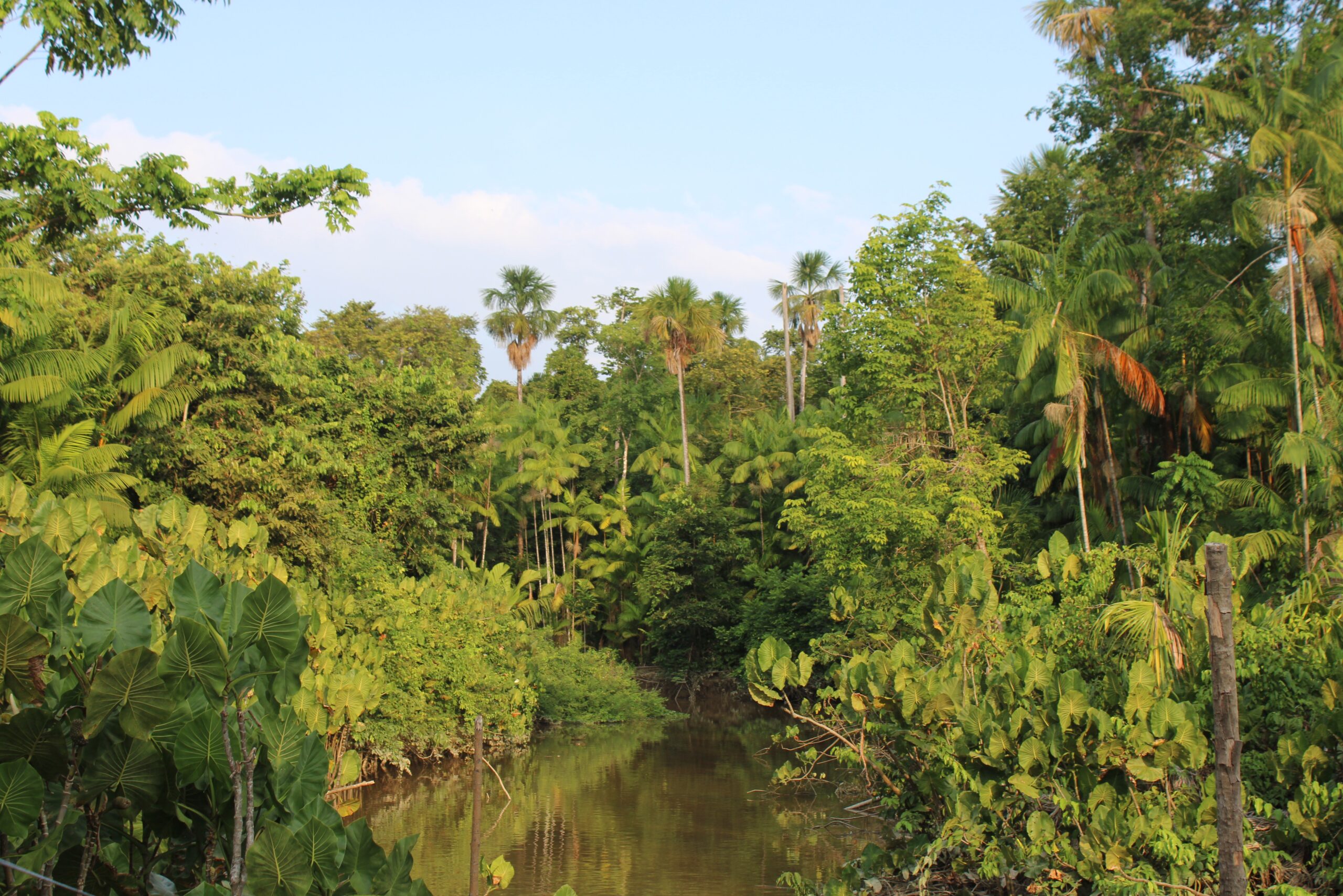 COP30, Brics e acordo Mercosul-União Europeia adiado: relembre destaques do ano da diplomacia do Brasil