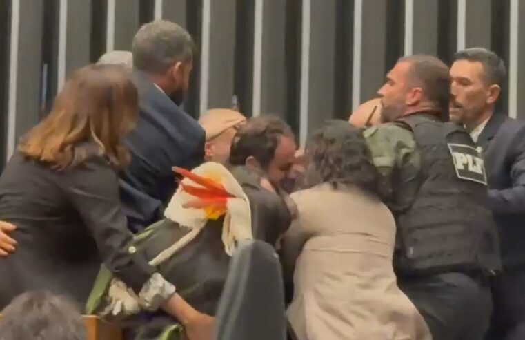 Deputados do PSOL envolvidos em confusão na Câmara tiveram traumatismos superficiais e torsões, diz departamento médico