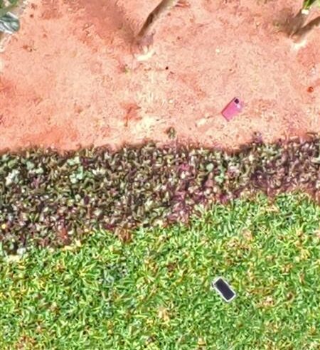 VÍDEO: PF faz buscas contra deputado Antonio Doido e encontra celulares jogados pela janela