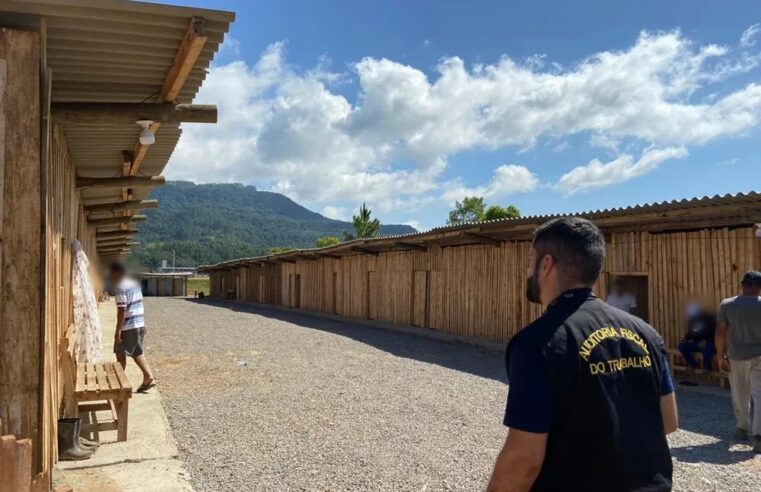 Após o CNU, país amplia número de Auditores-fiscais do Trabalho, mas déficit ainda é evidente